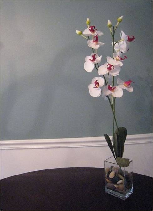 Бяла орхидея върху светлозелена стена